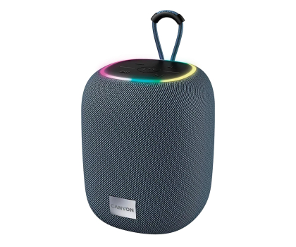 Głośnik bluetooth CANYON Głośnik Bluetooth BSP-8 10W Szary CNE-CBTSP8G